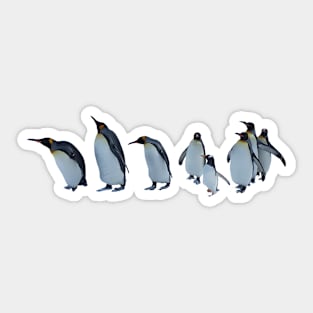 Penguin parade Sticker